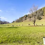 Zentral Gelegenes In Daire Bad Kleinkirchheim